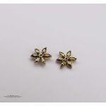 گوشواره نقره ستاره