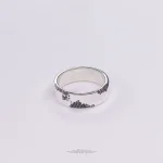 انگشتر نقره آرش